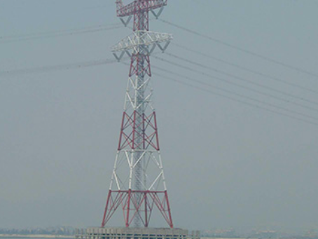 蒋湖农场电力铁塔案例